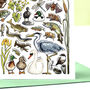 River Wildlife Of Britain Greeting Card, thumbnail 2 of 9