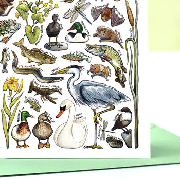 River Wildlife Of Britain Greeting Card, 2 of 9