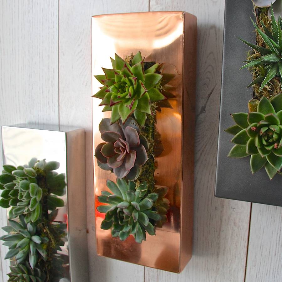 picture frame garden wall planter by london garden trading