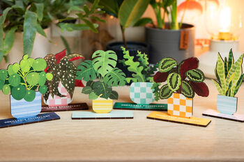 Chinese Money Plant Unkillable Houseplant Pop Out Card, 4 of 4