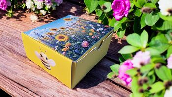 Bumble Bee And Sunflower Socks – Fun Gift Boxed One Size, 6 of 9