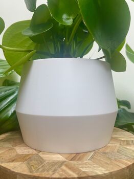 3D Printed Angled Plant Pot – Stylish And Sustainable, 10 of 12