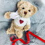 Valentine’s Day Teddy Bear, thumbnail 2 of 4