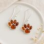 Sterling Silver Baltic Amber Paw Print Drop Earrings: Cat And Dog Lover Gift – 15mm, thumbnail 8 of 9