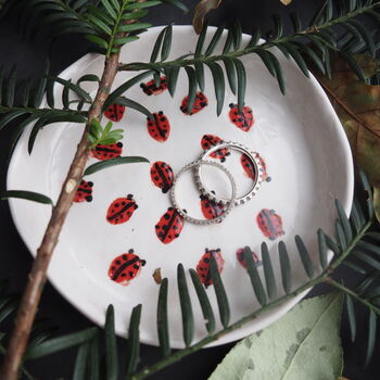 Handmade Ceramic Red Ladybird Beetle Ring Dish, 7 of 7