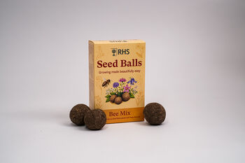Willsow Rhs Seed Ball Bundle Wildflower, Bee And Shade, 5 of 5