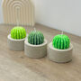 Round Barrel Cactus Candles Saguaro Cacti Candle Gift, thumbnail 2 of 10