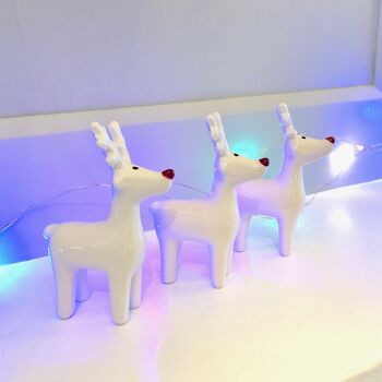 Christmas Set Of Little Reindeer Decorations, 2 of 4