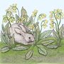'Rabbit And Cowslips' Print, thumbnail 3 of 3