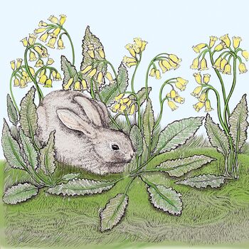 'Rabbit And Cowslips' Print, 3 of 3