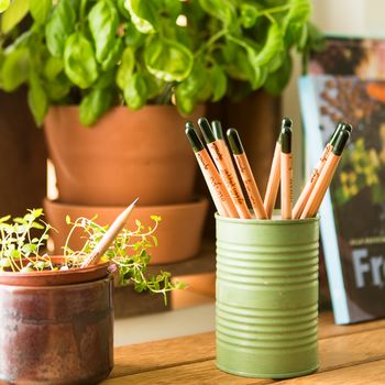 Set Of Five Sprout Herb Growing Pencils, 5 of 5