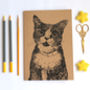 A5 Cat Lovers Notebook Blank Journal With Plain Pages, thumbnail 2 of 6