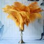 Large 30 To 35cm Imitation Ostrich Feathers, thumbnail 10 of 12