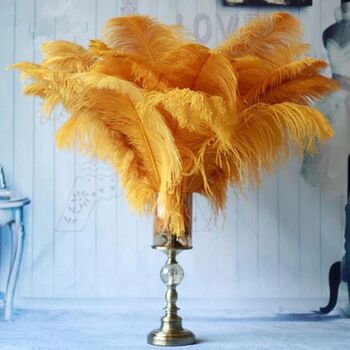Large 30 To 35cm Imitation Ostrich Feathers, 10 of 12