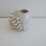 Handmade Small Round White Spiky Ceramic Cactus Vase, thumbnail 6 of 6