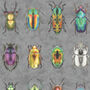 Beetle Jewels Multi Wallpaper, thumbnail 6 of 6