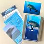 Adopt A Dolphin Gift Tin, thumbnail 1 of 4