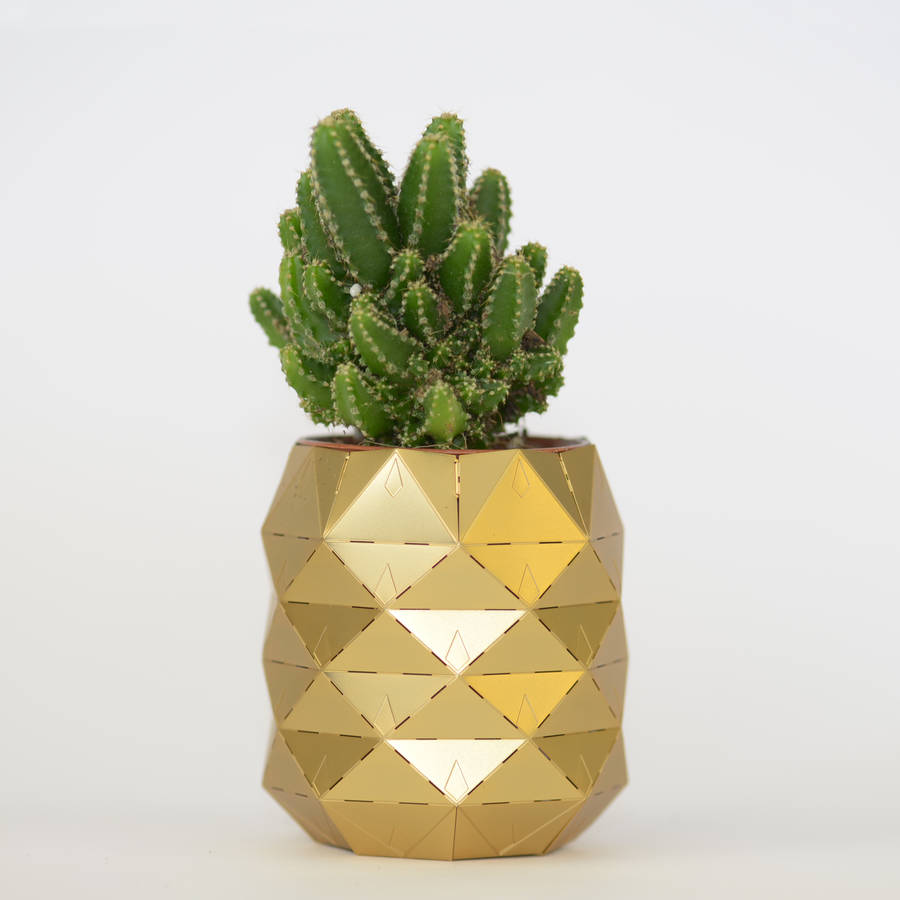 pineapple plant pot by another studio