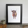 Highland Cow Copper Highlights Giclee Fine Art Print, thumbnail 1 of 3