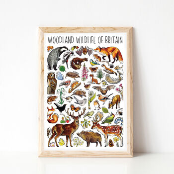 Woodland Wildlife Of Britain Watercolour Postcard, 5 of 12