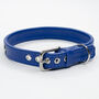 Star Studded Leather Dog Collar, thumbnail 5 of 7