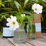 Grow Your Own Bouquet And Vase Gift Set, thumbnail 4 of 12