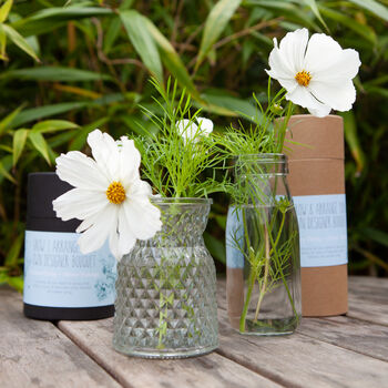 Grow Your Own Bouquet And Vase Gift Set, 4 of 12