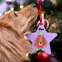 Elf Dog Personalised Christmas Decoration, thumbnail 1 of 12