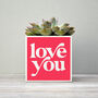 'Love You' Valentine's Plant Pot And Houseplant, thumbnail 5 of 7