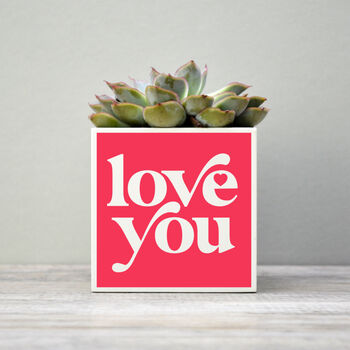 'Love You' Valentine's Plant Pot And Houseplant, 5 of 7