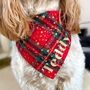 Personalised Christmas Dog Bandana, thumbnail 1 of 6