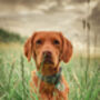 Dog Breed Personalised Pet ID Tag, thumbnail 12 of 12