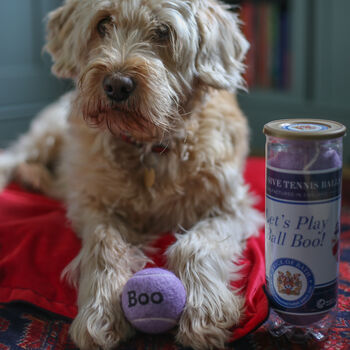 Personalised Dog Tennis Balls, 10 of 12