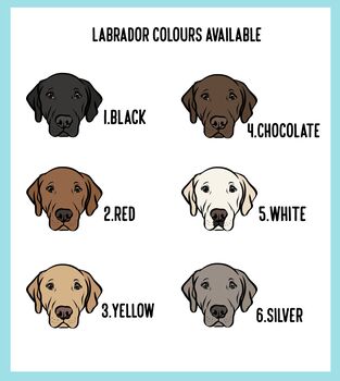 Labrador ID Tag, 3 of 5