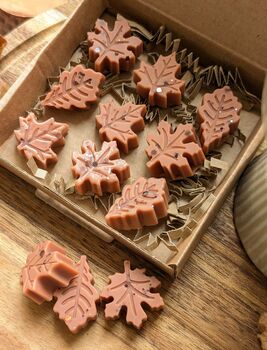 Twilight Woods Autumnal Wax Melts With Woody Scent, 2 of 7