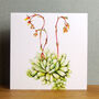 Echeveria Greetings Card, thumbnail 1 of 5