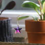 Star Suncatcher, Plant Gift, thumbnail 4 of 5