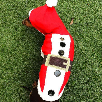 Christmas Santa Miniature Dachshund Jumper, 3 of 3