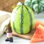 Watermelon Oil Burner And Wax Warmer, thumbnail 5 of 5
