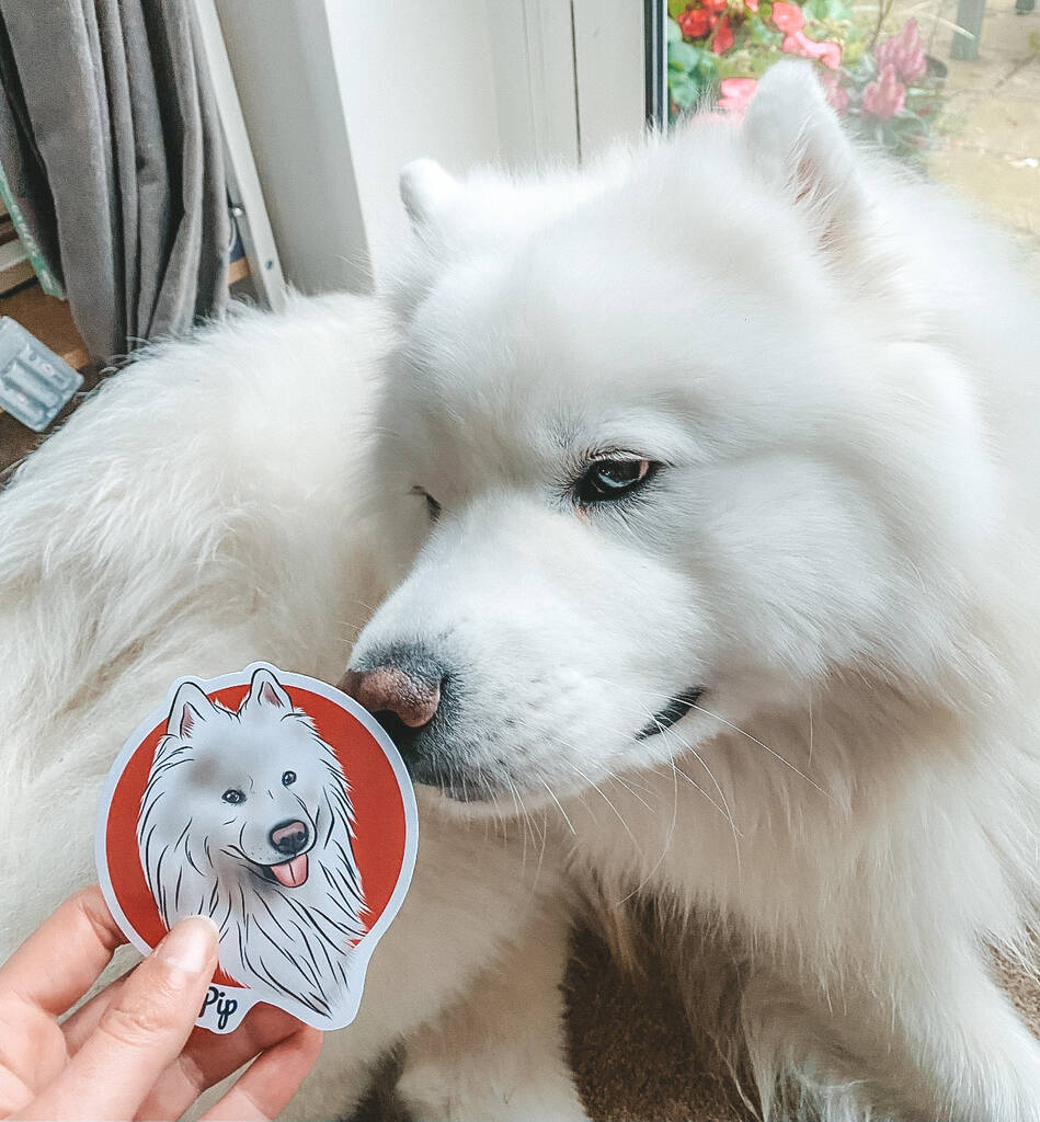 Personalised Pet Stickers, 1 of 12