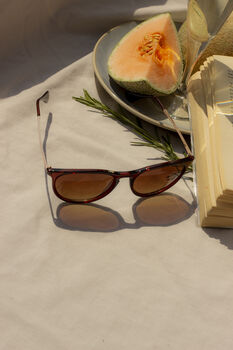 Brown Traditional Style Sunglasses, 5 of 7