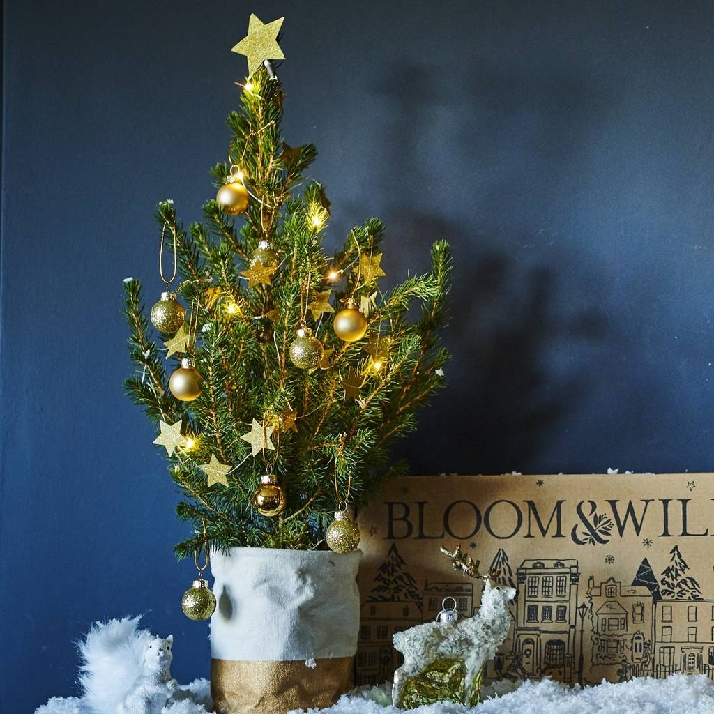 Sparkly Letterbox Christmas Tree By Bloom & Wild | notonthehighstreet.com