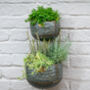 Myrtle Galvanised Zinc Set Of Two Wall Planters, thumbnail 2 of 6