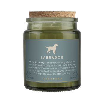'Labrador' Definition Large Green Candle • Dog Enthusiast • Just Paws • Gift Box, 3 of 4