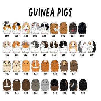 Life Is Better With My Dog Forest Hand Drawn Print, 12 of 12