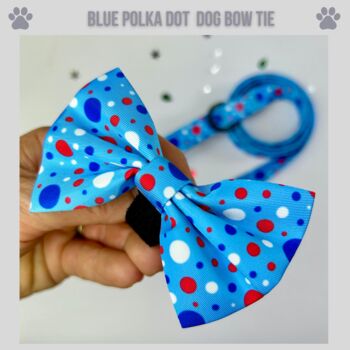 Blue Polka Dot Dog Bow Tie, 2 of 4