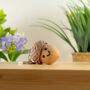 Acorn Clicker Fidget Toy Set Of Two, thumbnail 2 of 3