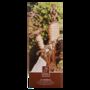 Cast Iron Garden Line Row Marker With 25m Jute String, thumbnail 2 of 3