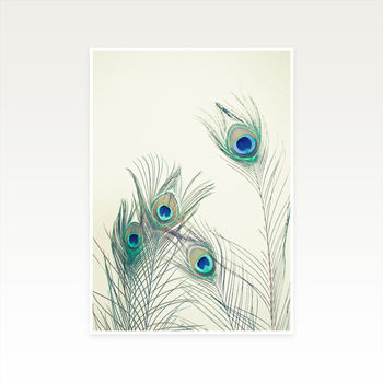 All Eyes Are On You Photographic Peacock Feather Print, 2 of 2
