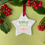 Personalised Pet Welsh Christmas Decoration, thumbnail 1 of 2